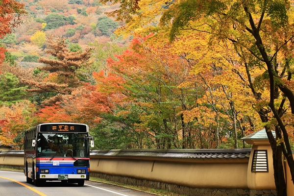 『島原鉄道フォトコンテスト2025』受賞作品発表