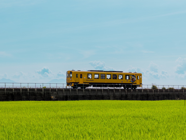 お盆期間の列車ダイヤについて
